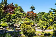 Golden Gate Park